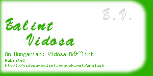 balint vidosa business card